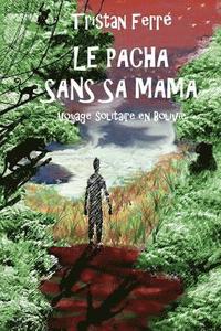 bokomslag Le pacha sans sa mama: Voyage solitaire en Bolivie