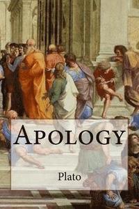 bokomslag Apology