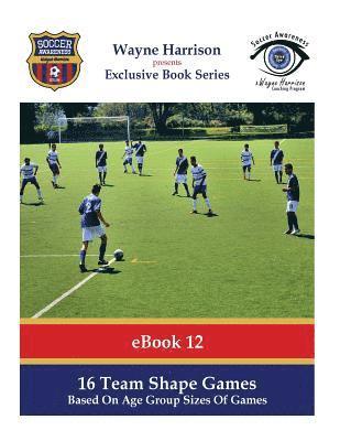 bokomslag 16 Team Shape Games: Based On Age Group Sizes Of Games