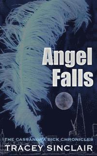 Angel Falls 1