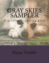 bokomslag Gray Skies Sampler