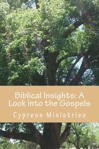 Biblical Insights: A Look into the Gospels: Basic study notes for better understanding 1