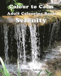 Colour to Calm Serenity: Therapeutic Adult Colouring Book 1