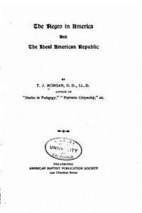 bokomslag The negro in America, and the ideal American republic