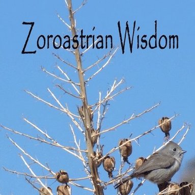 bokomslag Zoroastrian Wisdom