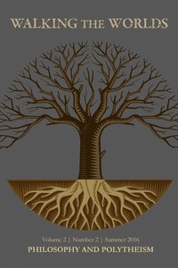 bokomslag Philosophy and Polytheism