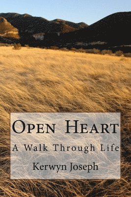 bokomslag Open Heart: A Walk Through Life