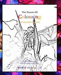 bokomslag The Nature of Colouring