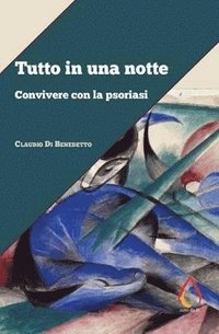 bokomslag Tutto in una notte
