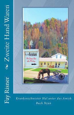 Fay Risner - Zweite Hand Waren: Krankenschwester Hal unter das Amish, Häftad