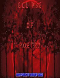 bokomslag Eclipse of Poetry