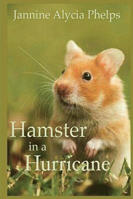 bokomslag Hamster in a Hurricane