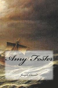 bokomslag Amy Foster