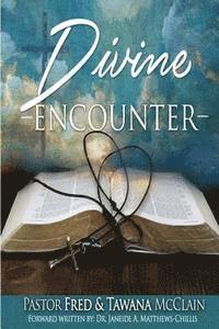 bokomslag Divine Encounter