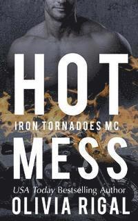 bokomslag Hot Mess