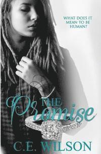 C. a. Borgford, Desiree Deorto - The Promise, Häftad