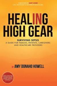 bokomslag Healing in High Gear: Surviving Sepsis: A Guide for Families, Patients, Caregivers and Healthcare Providers