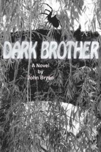 bokomslag Dark Brother