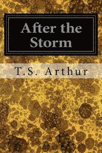 After the Storm 1