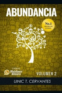 bokomslag Abundancia: Mis Aprendizajes Mas Elevados Para Vivir En Abundancia