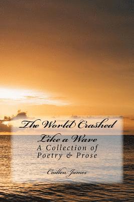 bokomslag The World Crashed like a Wave: A Book of Poetry & Prose