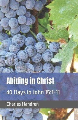 Abiding in Christ: 40 Days in John 15:1-11 1