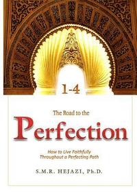 bokomslag The Perfection: How to Live Faithfully Throughout a Perfecting Path