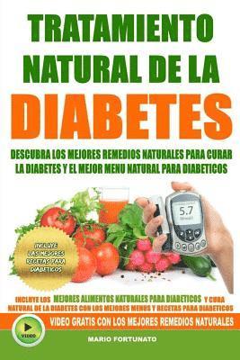 Tratamiento Natural de La Diabetes: Descubra Los Mejores Remedios Naturales Para Curar La Diabetes y el Mejor Menu Natural Para Diabeticos 1