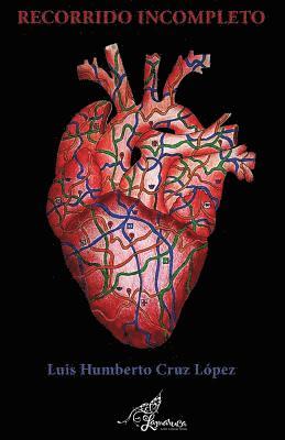 bokomslag Recorrido incompleto