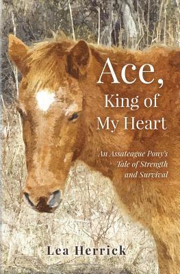 bokomslag Ace, King of My Heart: An Assateague Pony's Tale of Strength and Survival