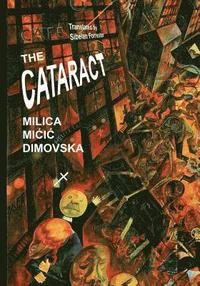 bokomslag The Cataract