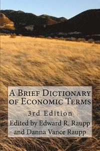 bokomslag A Brief Dictionary of Economic Terms: 3rd Edition