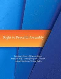 bokomslag Right to Peaceful Assembly: European Court of Human Rights