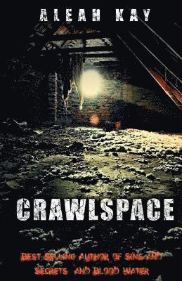 Aleah Kay's Crawlspace: You can't lock out, What's already in. 1