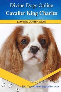 bokomslag Cavalier King Charles Spaniel