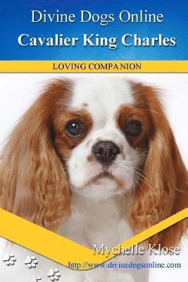 bokomslag Cavalier King Charles Spaniel