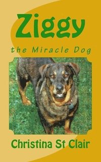 bokomslag Ziggy, the Miracle Dog