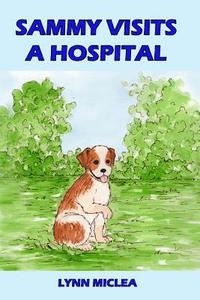 bokomslag Sammy Visits a Hospital
