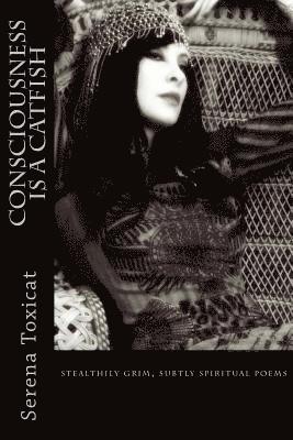 Consciousness Is a Catfish: stealthily grim, subtly spiritual poems 1
