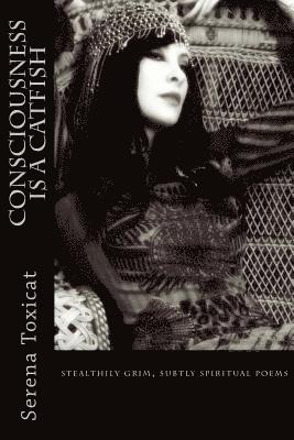 Serena Toxicat - Consciousness Is a Catfish: stealthily grim, subtly spiritual poems, Häftad