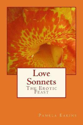 bokomslag Love Sonnets