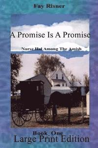 A Promise Is A Promise: Large Pring 1