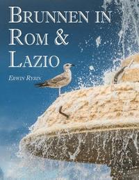 bokomslag Brunnen in Rom & Lazio: 444 Bilder von 101 Brunnenanlagen in Rom & Latium