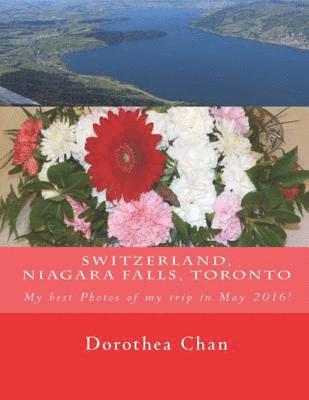 Switzerland, Niagara Falls, Toronto 1