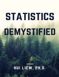bokomslag Statistics Demystified