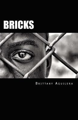 Bricks 1