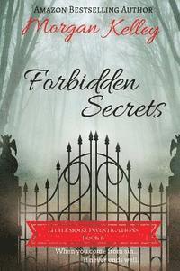 bokomslag Forbidden Secrets: Littlemoon Investigations