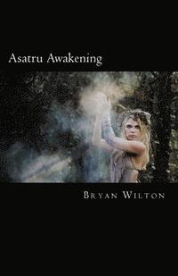 bokomslag Asatru Awakening: My Path of Discovery
