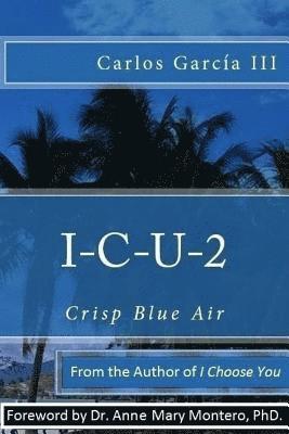 bokomslag I-C-U-2: Crisp Blue Air