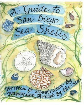 A Guide to San Diego Sea Shells 1